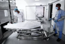 اتهام مدير مشرحة كلية الطب في جامعة هارفارد بالاتجار بأعضاء بشرية