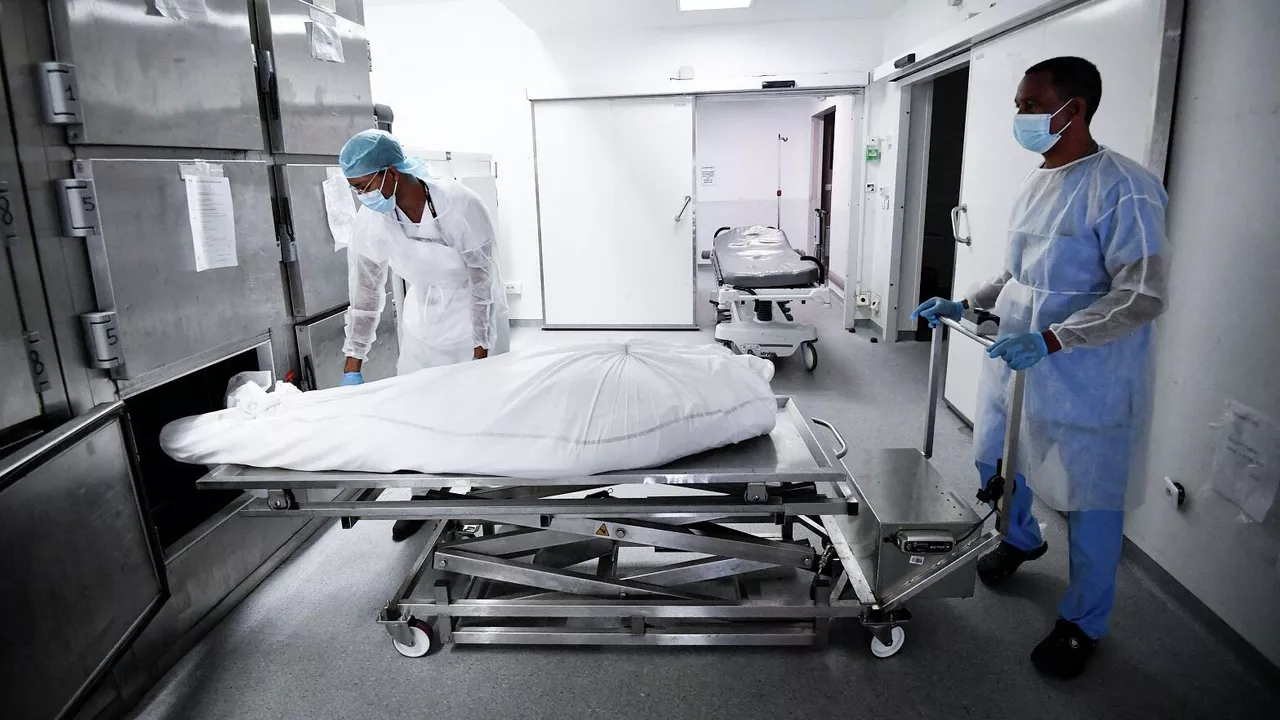 اتهام مدير مشرحة كلية الطب في جامعة هارفارد بالاتجار بأعضاء بشرية