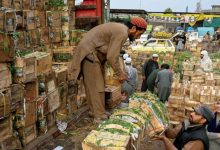 عمال يفرغون صناديق الفاكهة في سوق بمدينة بيشاور (أ.ف.ب)