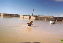 ليبيا.. حكومة الوحدة تشكل لجنة طوارئ لدعم بلديات الجنوب المتضررة من السيول