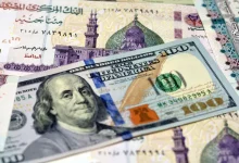 سعر الدولار اليوم في مصر الإثنين 5 أغسطس 2024.. «الأخضر» صوب 49 جنيهًا