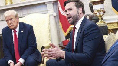 نائب الرئيس الأمريكي جي دي فانس والرئيس الأمريكي دونالد ترامب (صورة أرشيفية) / IMAGOJim LoScalzo Pool via CN / Globallookpress
