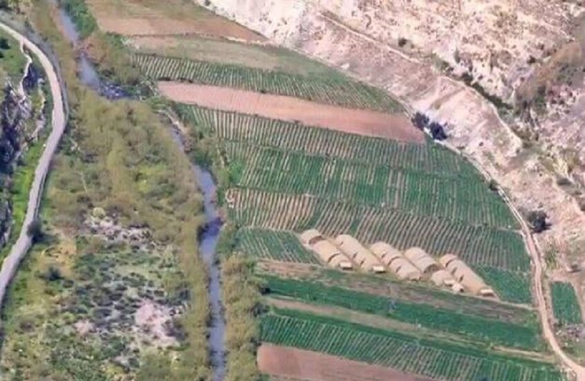 صحيفة الثورة السورية