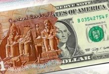 سعر الدولار اليوم في مصر