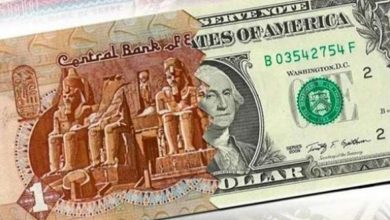 سعر الدولار اليوم في مصر