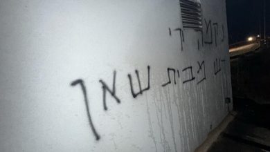 idf.il