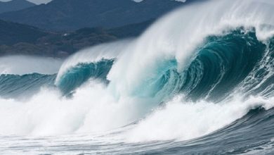 صورة أرشيفية / dzen.ru