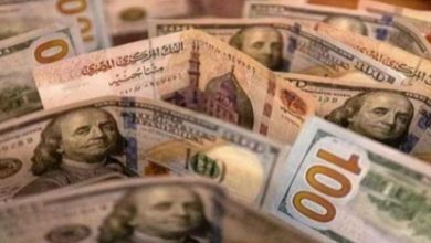 سعر الدولار في اليوم