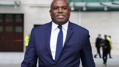 ديفيد لامي / Independent