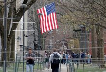 حرم جامعة هارفارد- أرشيف