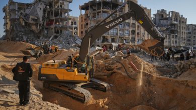 فلسطينيون يراقبون آليات مصرية تبحث عن جثث أسرى إسرائيليين في مدينة حمد بمدينة خان يونس جنوب قطاع غزة. / Globallookpress