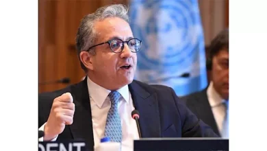 الدكتور خالد العناني