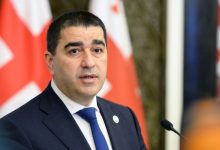 رئيس البرلمان الجورجي شالفا بابواشفيلي / Sputnik