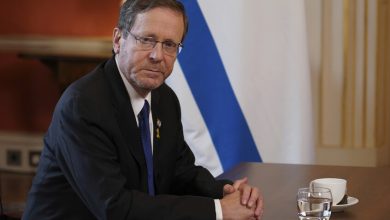 الرئيس الإسرائيلي يتسحاق هرتصوغ / Gettyimages.ru