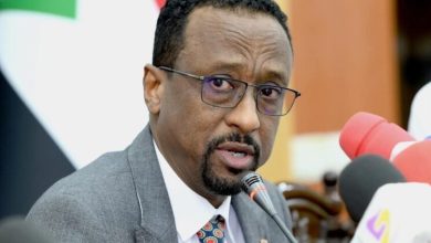 وزير الثقافة والإعلام والسياحة السوداني خالد الإعيسر / suna