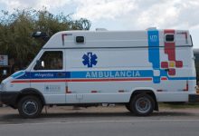 صورة من الأرشيف / Dorling Kindersley ltd / Legion-Media