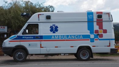 صورة من الأرشيف / Dorling Kindersley ltd / Legion-Media