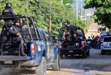 David Guzman / Globallookpress