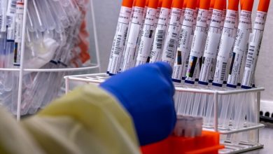 Jens Büttner / Globallookpress