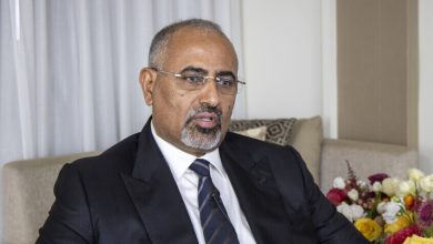 عيدروس الزبيدي / AP