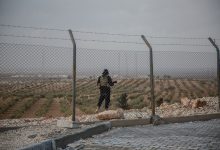 Sally Hayden / Globallookpress