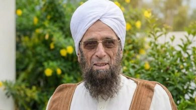 العالم السوري الأزهري الراحل الدكتور محمد حسن هيتو / RT