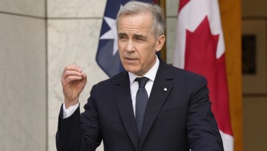 Adrian Wyld / Globallookpress