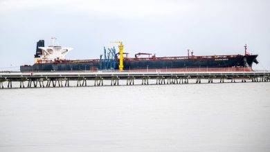 صورة تعبيرية / Sina Schuldt / Globallookpress