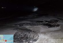 تسرب نفطي في خليج المكسيك / Greenpeace México