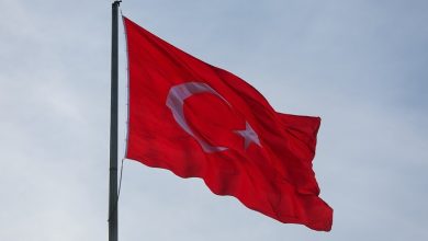 Belkin Alexey / Globallookpress