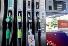 Ricardo Rubio / Globallookpress