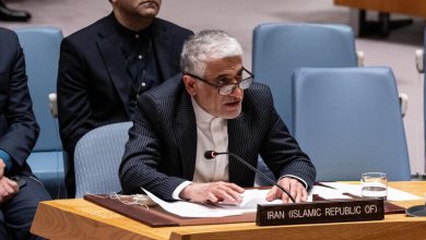 مندوب إيران الدائم لدى الأمم المتحدة أمير سعيد إيرواني / Legion-Media