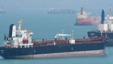 ناقلة النفط "إلبيس" / war-sanctions.gur.gov.ua