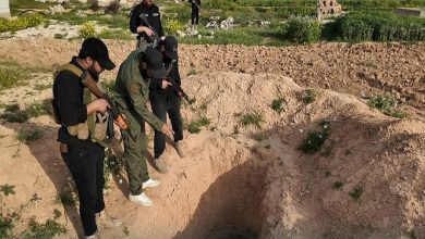 الاخبارية السورية