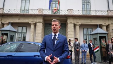 David Balogh / Globallookpress