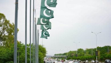 Chen Zeguo / Globallookpress