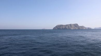 Wang Qiang / Globallookpress