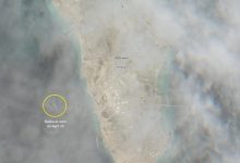 Sentinel Hub