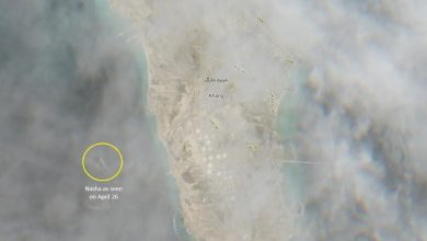 Sentinel Hub