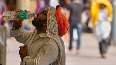 دلهي / AP