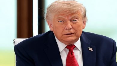 الرئيس الأمريكي دونالد ترامب / AP