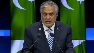 وزير الخارجية الباكستاني إسحاق دار / RT