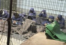 أسرى فلسطينيون في السجون الإسرائيلية / AP