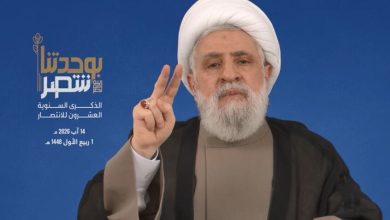 أمين عام "حزب الله" نعيم قاسم / RT