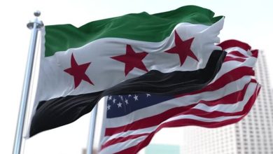 الولايات المتحدة وسوريا / - istock / RT