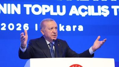 الرئيس التركي رجب طيب أردوغان / Turkish presidency / Globallookpress