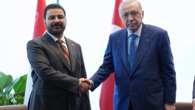 رئيس الوزراء العراقي علي فالح الزيدي والرئيس التركي رجب طيب أردوغان. / Legion-Media