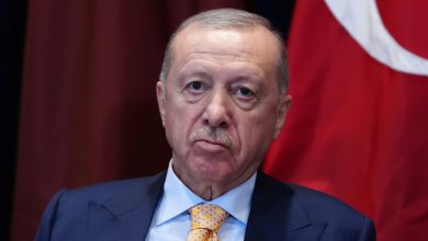 الرئيس التركي رجب طيب أردوغان / AP
