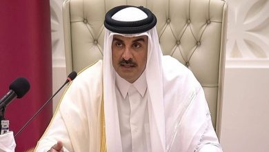 أمير دولة قطر تميم بن حمد آل ثاني / الديوان الأميري القطري