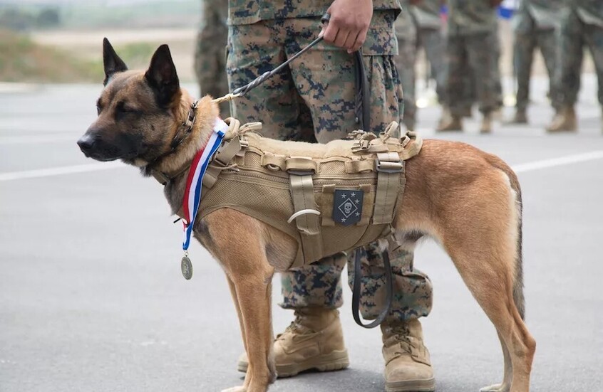 صورة أرشيفية / businessinsider.com